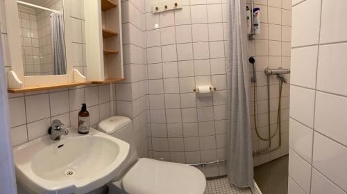 a bathroom with a white toilet and a sink at Wästinn in Vöyri