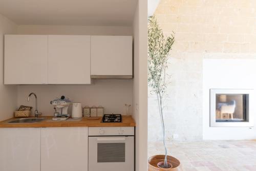 a kitchen with white cabinets and a plant on the counter at Suite San Giacomo - L'Opera Dell'Architetto in Matera