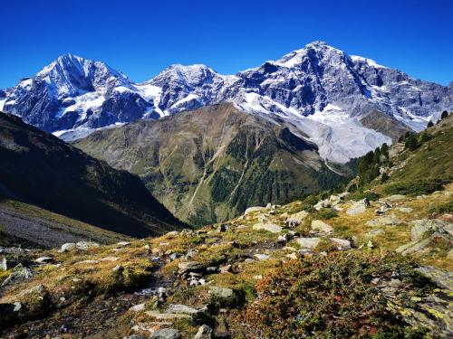 a view of a mountain range with snow at Alpina Residence in Solda