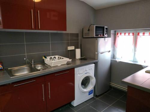 eine Küche mit Spüle und Waschmaschine in der Unterkunft Superbe appartement avec parking gratuit sur place in Nancy