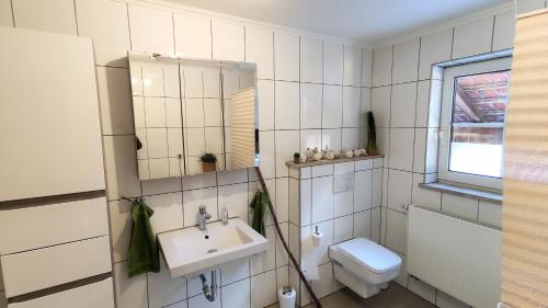een badkamer met een wastafel, een toilet en een spiegel bij Gasthof Adler Ferienwohnung in Ichenhausen