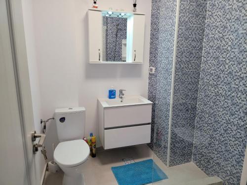 a bathroom with a shower and a toilet and a sink at Alina apartament 2 in Năvodari