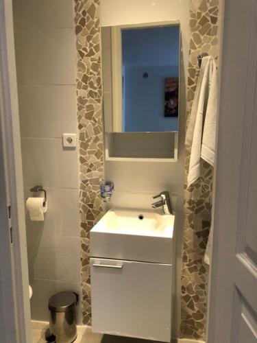 une salle de bain avec un lavabo blanc et un miroir dans l'établissement STUDETTE Beausejour, à Cannes