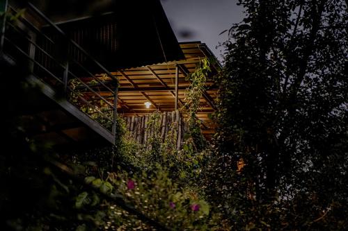 O grădină în afara Edens Munnar