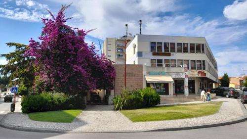 a tree with purple flowers in front of a building at Altamira GB in Estarreja