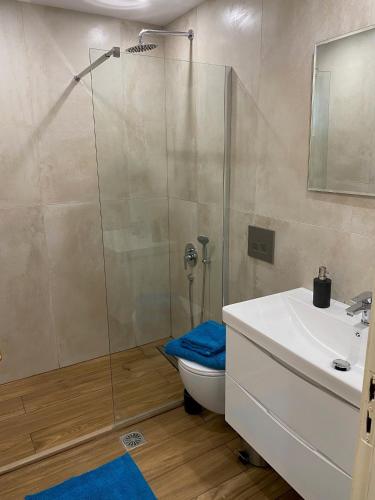 a bathroom with a shower and a toilet and a sink at Villa Lemonia in Malia