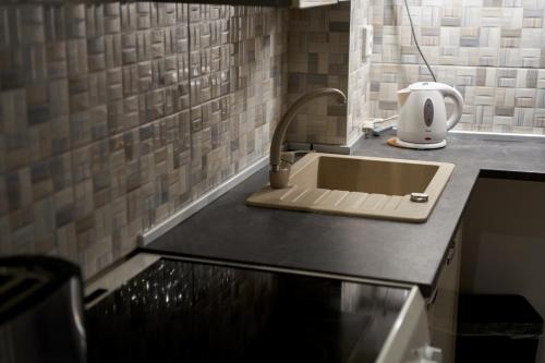 a kitchen counter with a sink and a toaster at Krejčovství in Mělník