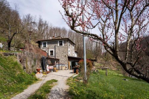 Φωτογραφία από το άλμπουμ του 036 - La Casa di PIETRA Maissana Relax e Natura σε Chiama