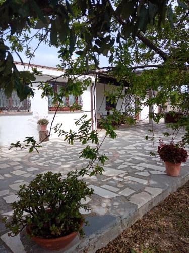 a stone patio with potted plants and a building at VILLA LUPINO in Orosei