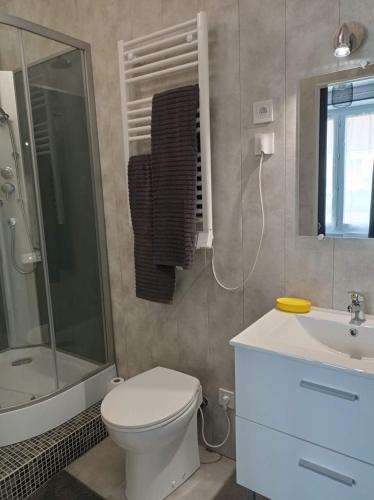 une salle de bain avec toilettes, douche et lavabo dans l'établissement A la Belle Etoile, à Méry-sur-Cher