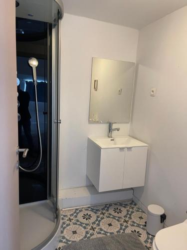 uma casa de banho branca com um lavatório e um chuveiro em residence rogier afri em Mons