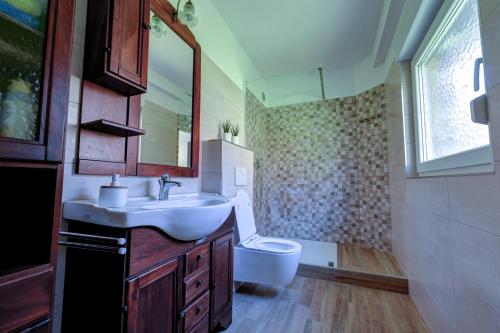 Apartma Hči planin في بوفيك: حمام مع حوض ومرحاض
