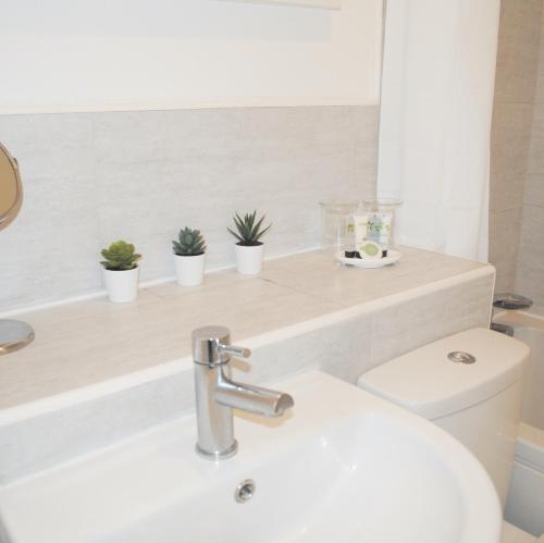 a bathroom with a sink and a toilet with plants on a shelf at Bellevue Apartment in Bristol