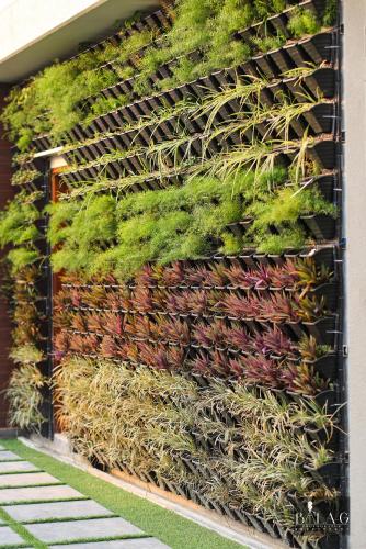 a vertical garden on a wall with plants at Hotel Holy Vivasa in Rishīkesh