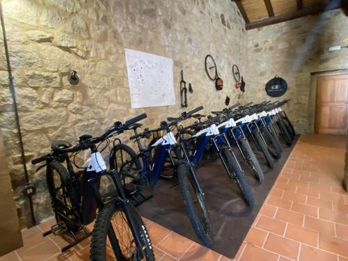 Une rangée de vélos alignés sur un mur dans l'établissement Bed and Bike Antico Mulino, à Aglientu