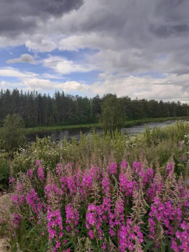 Paesaggio naturale nelle vicinanze della stanza in casa privata