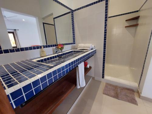 斯基灵角Khelkom.lodge的带水槽和淋浴的浴室