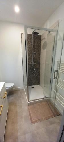 La salle de bains est pourvue d'une douche et d'une cabine de verre. dans l'établissement Histoire de Loire - BALZAC, à Saumur