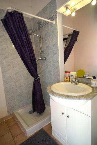 une salle de bain avec un lavabo et un rideau de douche dans l'établissement Loft avec mezzanine, à Montagnac