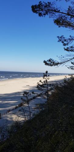 En strand i nærheden af feriehuset