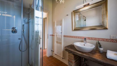 een badkamer met een wastafel en een spiegel en een douche bij Pesci in Gaiole in Chianti
