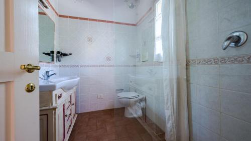 een badkamer met een toilet, een wastafel en een douche bij Scorpione in Gaiole in Chianti