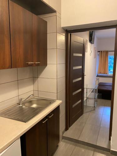 Kuchyňa alebo kuchynka v ubytovaní Aparthotel Superjednostka Katowice