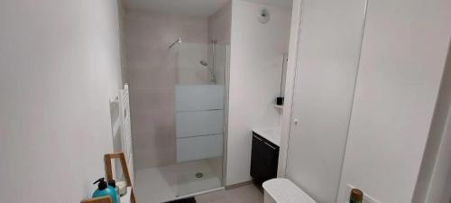 a white bathroom with a shower and a toilet at Bel appt neuf - vue mer - terrasse - parking privé in Dunkerque