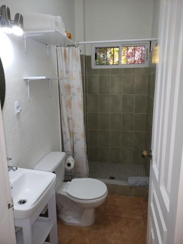 uma casa de banho com um WC, um lavatório e um chuveiro em Paradise Found em La Ceiba