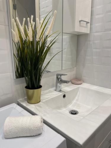 a bathroom with a sink and a potted plant at Wiejska 14 - 500m od Sejmu Rzeczypospolitej - 450m do Ambasady USA - Smart TV - WiFi - w pełni wyposażona kuchnia in Warsaw