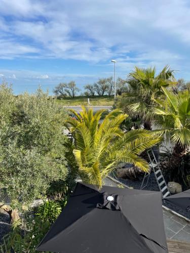 a black umbrella sitting next to some palm trees at Hôtel Le Martray in Ars-en-Ré