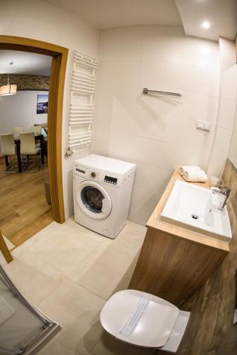 a bathroom with a washing machine and a sink at Zielony Zdrój 105 in Krynica Zdrój