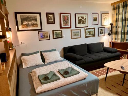 - un salon avec un lit et un canapé dans l'établissement Studio Mila, à Kranjska Gora