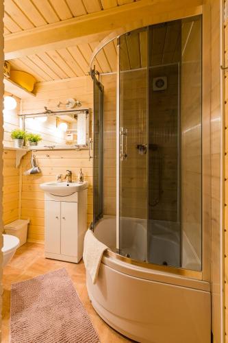 a bathroom with a shower and a sink at Domek Lesinówka in Cisna