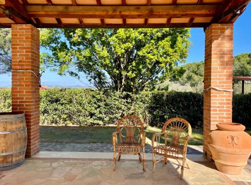 two chairs and a table on a patio with a tree at Agriturismo Salcino in Grosseto