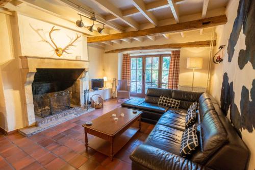 a living room with a couch and a fireplace at La Fagne Fleurie Les Myrtilles en Les Camomilles in Vielsalm