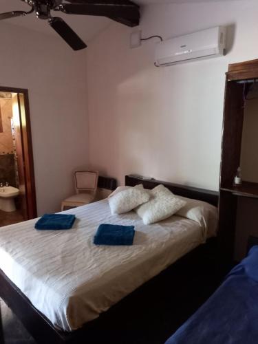 a bedroom with a bed with two blue pillows on it at Alojamiento en casa quinta, habitación privada in Cruz del Eje