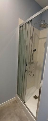 une douche avec une porte vitrée dans une salle de bain dans l'établissement Histoire de Loire - RABELAIS, à Saumur