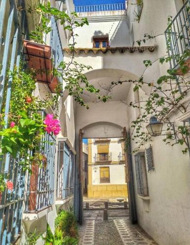 Apartamento maripipi