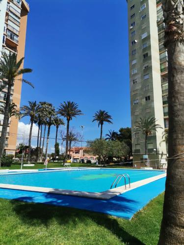 Club Medico Torre VI