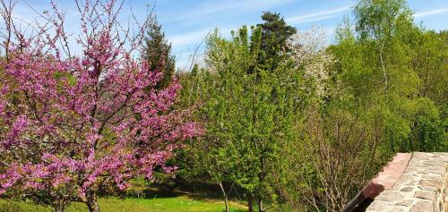 a group of trees with pink flowers and a bridge at Chambre d'hôtes un petit coin de paradis en Corrèze in Laguenne