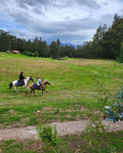 deux personnes font de l'équitation dans un champ dans l'établissement Palumbo Glamping & Villas, à Cayambe