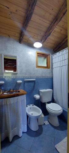 La salle de bains bleue est pourvue de toilettes et d'un lavabo. dans l'établissement El Cipresal- Cabaña Epuyen, à San Martín de los Andes