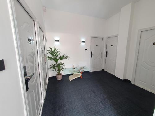 a hallway with a desk and a potted plant at Camere Fiera Verona - CasaNostra in Verona