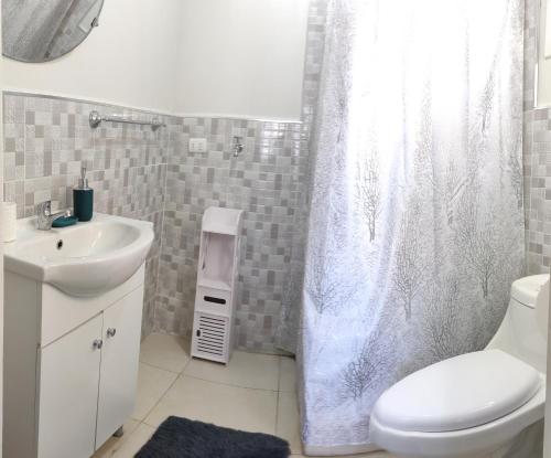 Kylpyhuone majoituspaikassa ENTRE CISNES 1, 2 y 3 Dorm