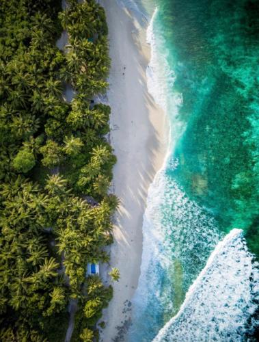 an overhead view of a beach with palm trees and the ocean at Beachfront Paradise in Manuel Antonio