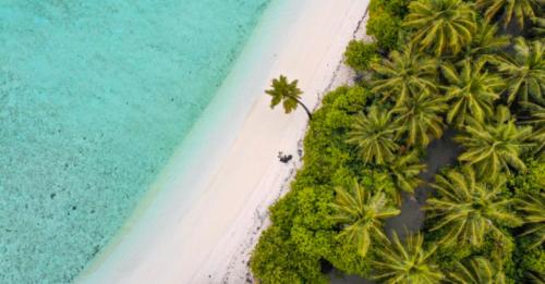 an aerial view of a beach with palm trees and the ocean at Beachfront Paradise in Manuel Antonio