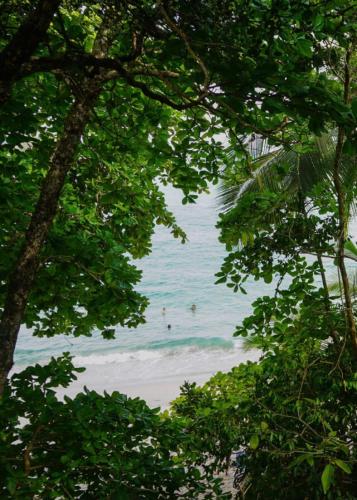 a view of the beach through the trees at Beachfront Paradise in Manuel Antonio
