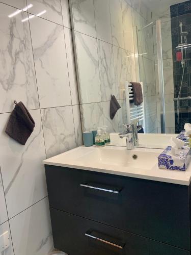 a bathroom with a sink and a mirror at Loption in Carbonne
