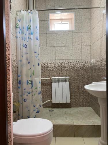 ein Bad mit einem WC und einem Duschvorhang in der Unterkunft Отель Жылдыз in Jalal-Abad